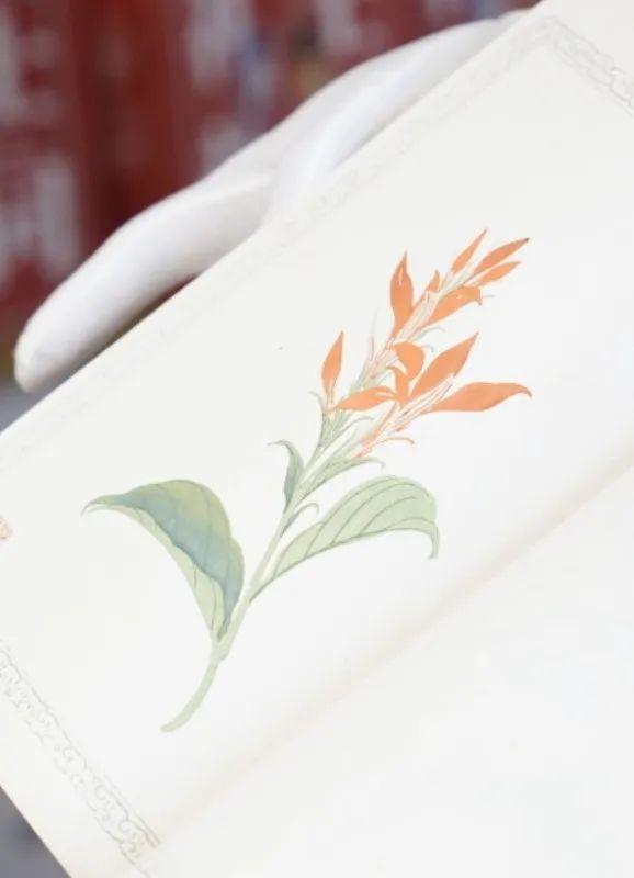 舊書(shū)新知傳習(xí)館 東城文藝品牌空間與當(dāng)代文藝創(chuàng)作的薪火相傳